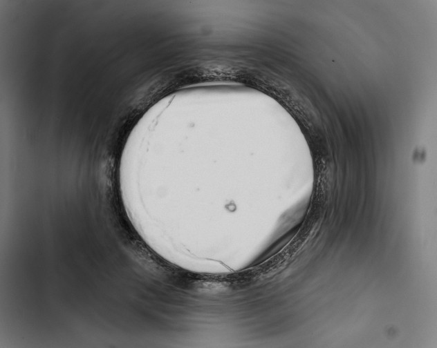 X0000102500649200809051346