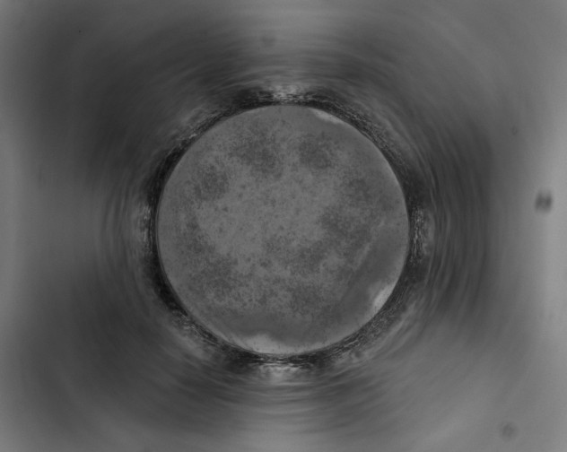 X0000102500650200809051346