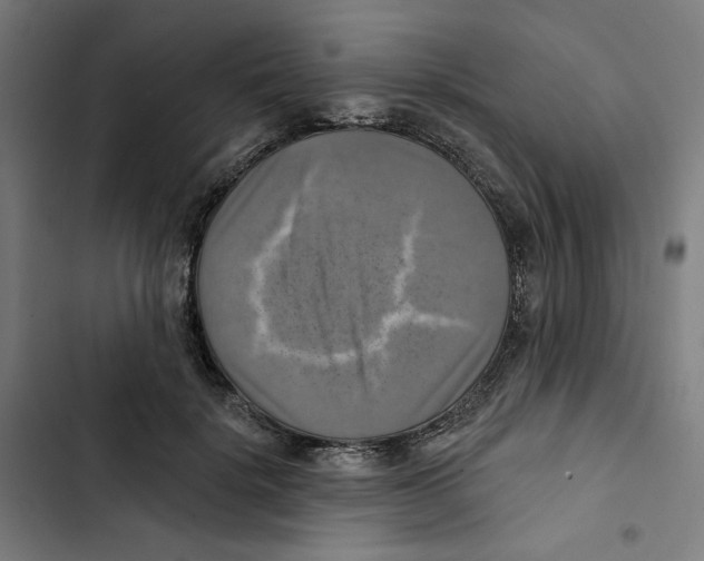 X0000102500652200809051346