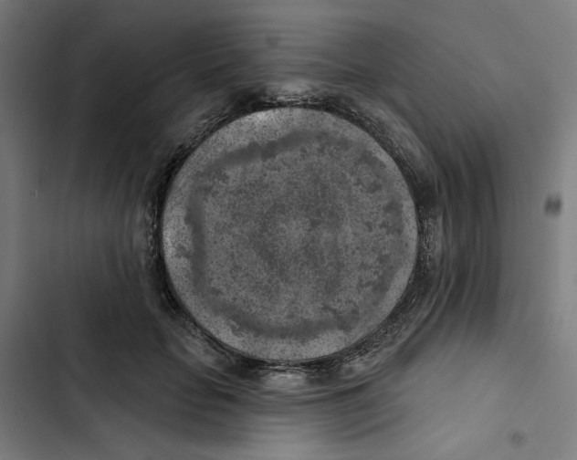 X0000102500653200809051346