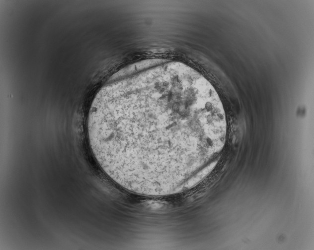 X0000102500654200809051346