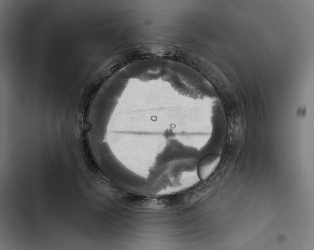 X0000102500656200809051347