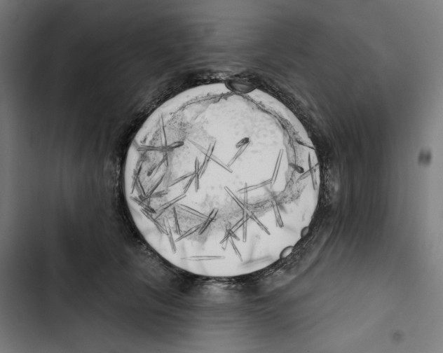 X0000102500657200809051347