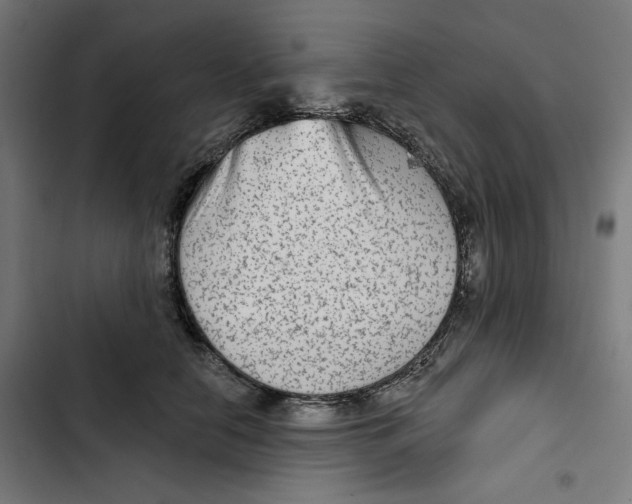 X0000102500658200809051347