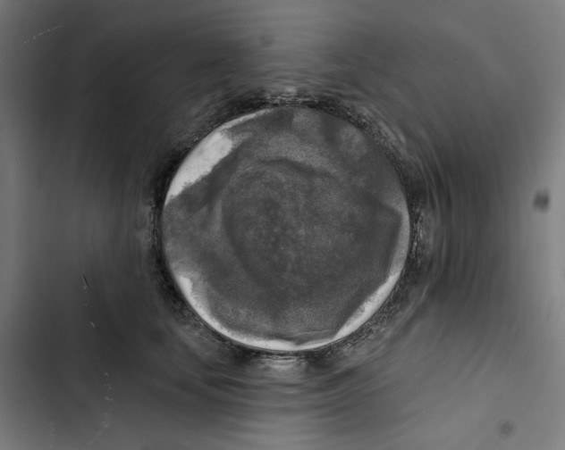 X0000102500659200809051347