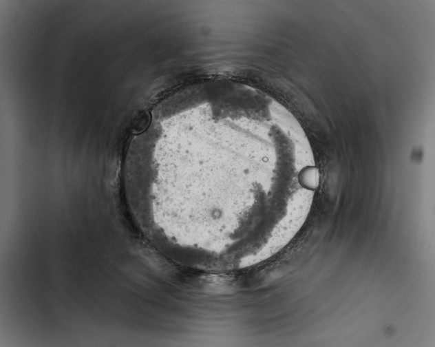 X0000102500660200809051347