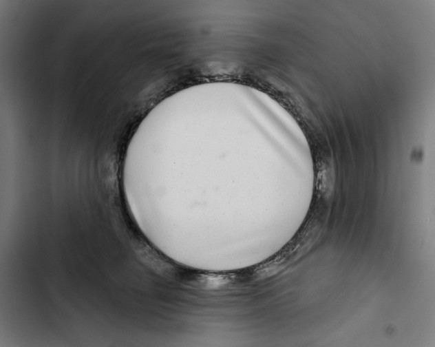 X0000102500662200809051347