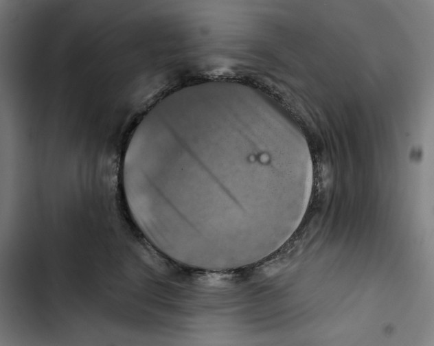 X0000102500664200809051347