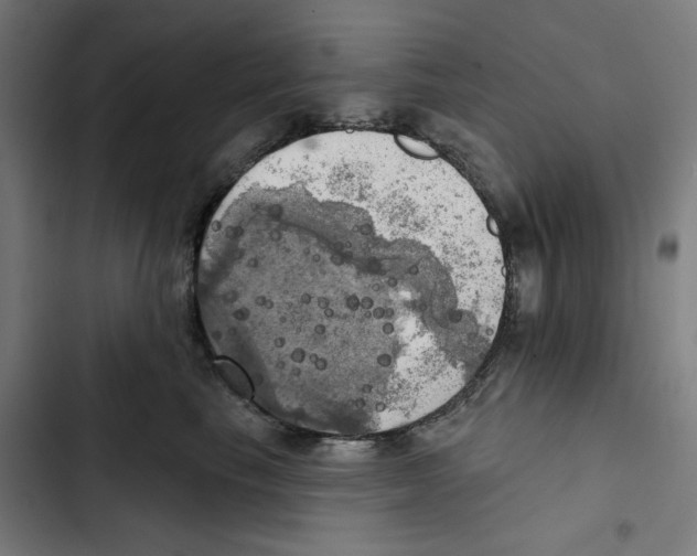 X0000102500665200809051347