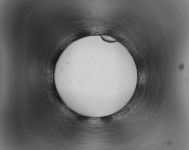 X0000102500666200809051347