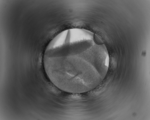 X0000102500668200809051347