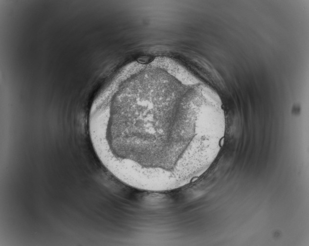 X0000102500669200809051347