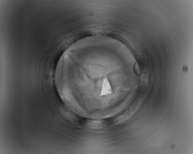 X0000102500671200809051347