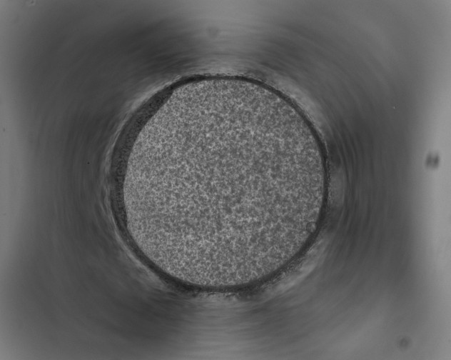 X0000102500673200809051346