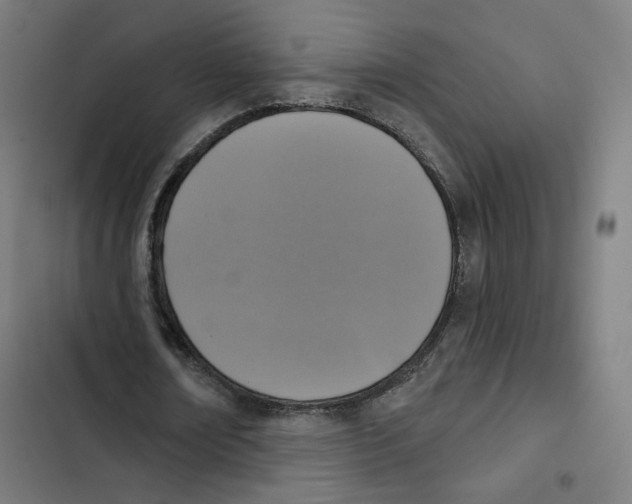 X0000102500674200809051346