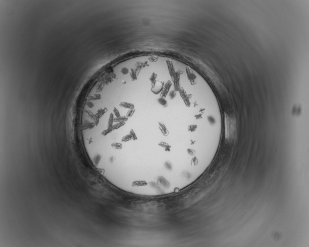 X0000102500675200809051346