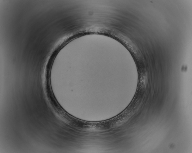 X0000102500678200809051346