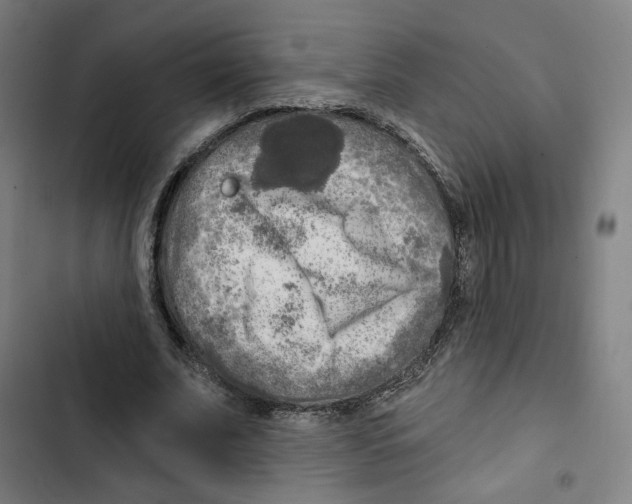 X0000102500679200809051346