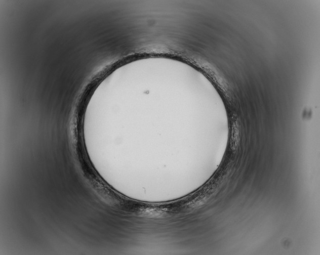 X0000102500680200809051346