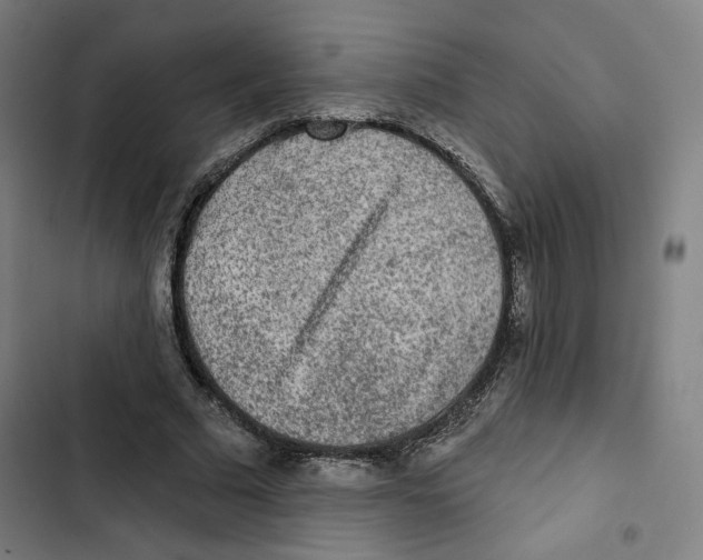 X0000102500681200809051346