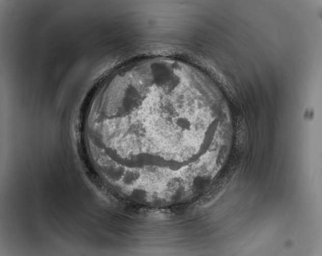 X0000102500683200809051346