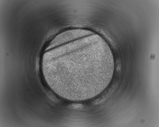 X0000102500685200809051346