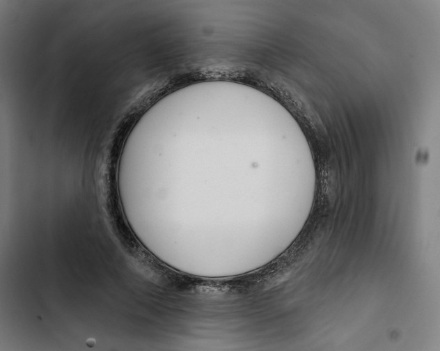 X0000102500690200809051346