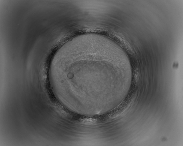 X0000102500691200809051346