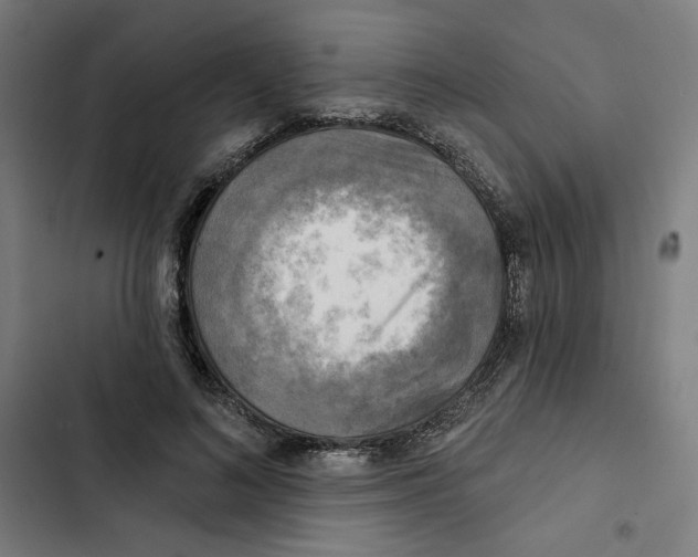 X0000102500692200809051346