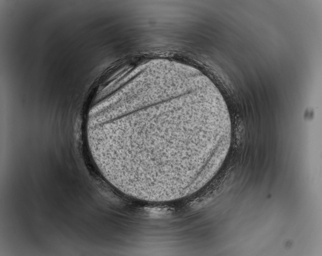 X0000102500693200809051346