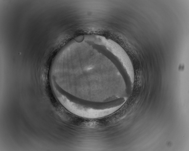 X0000102500695200809051346