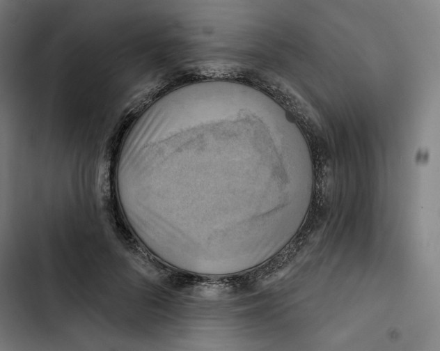 X0000102500696200809051346