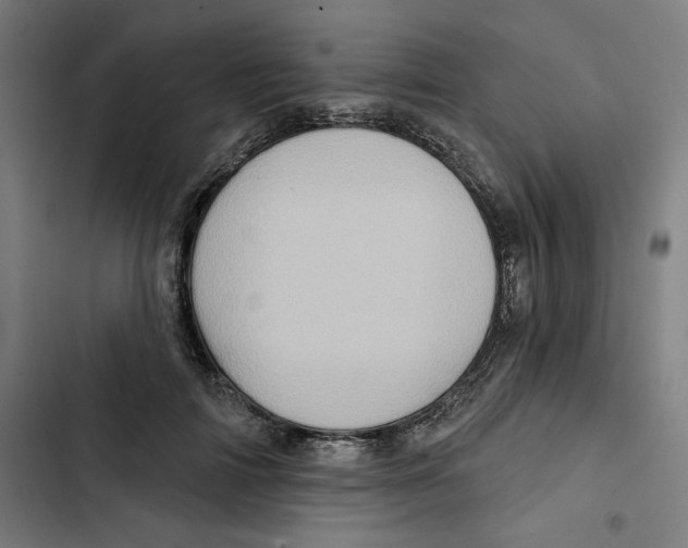 X0000102500698200809051346