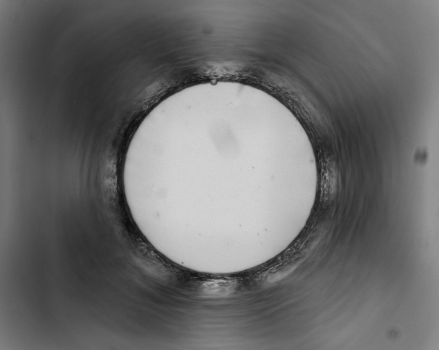 X0000102500700200809051346