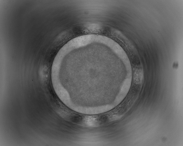 X0000102500701200809051346