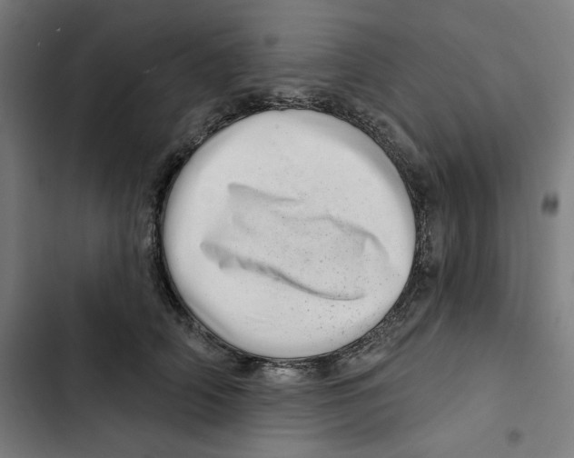 X0000102500706200809051346