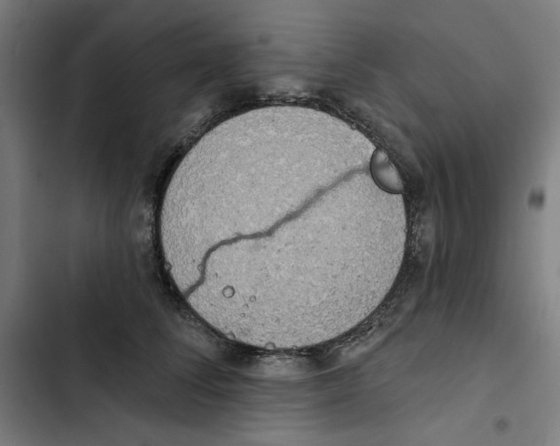 X0000102500708200809051346