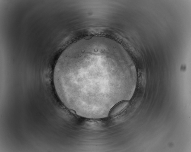 X0000102500712200809051346