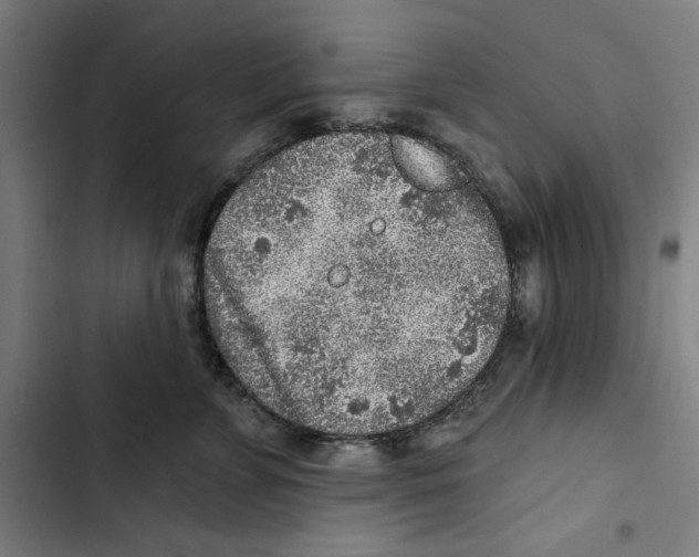 X0000102500715200809051345