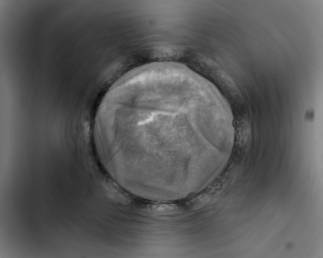 X0000102500716200809051345