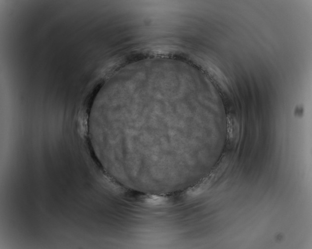 X0000102500718200809051345