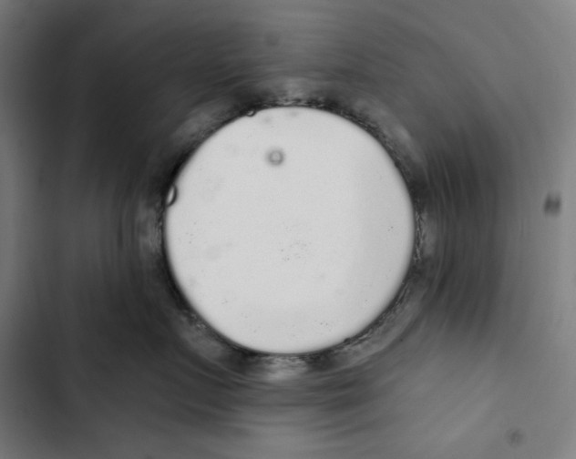 X0000102500719200809051345