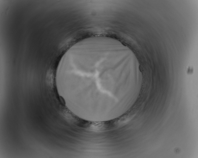 X0000102500720200809051345