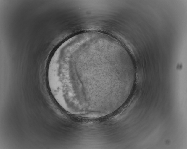 X0000102500721200809051345