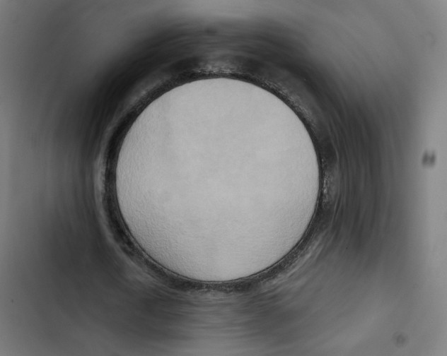 X0000102500722200809051345