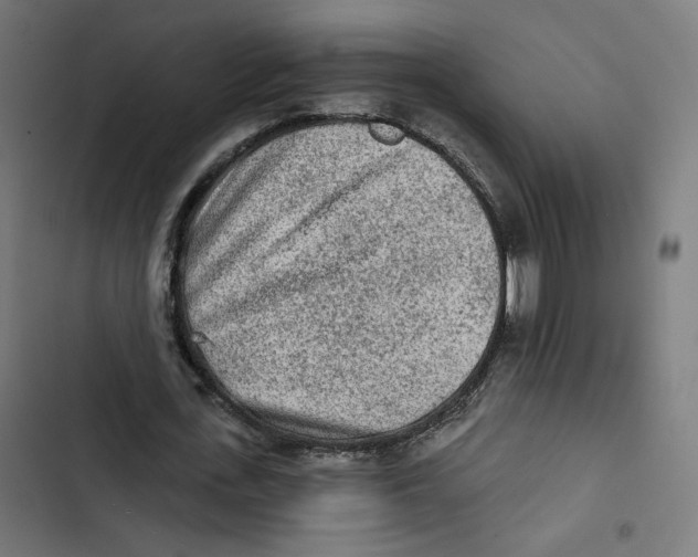 X0000102500723200809051345