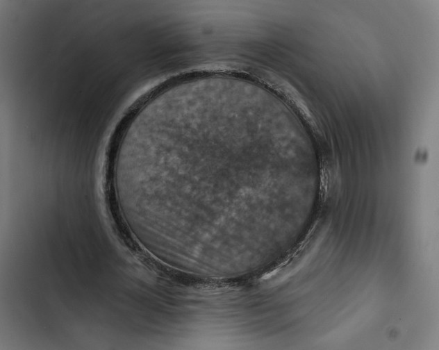 X0000102500724200809051345