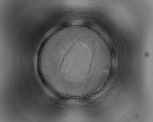 X0000102500725200809051345