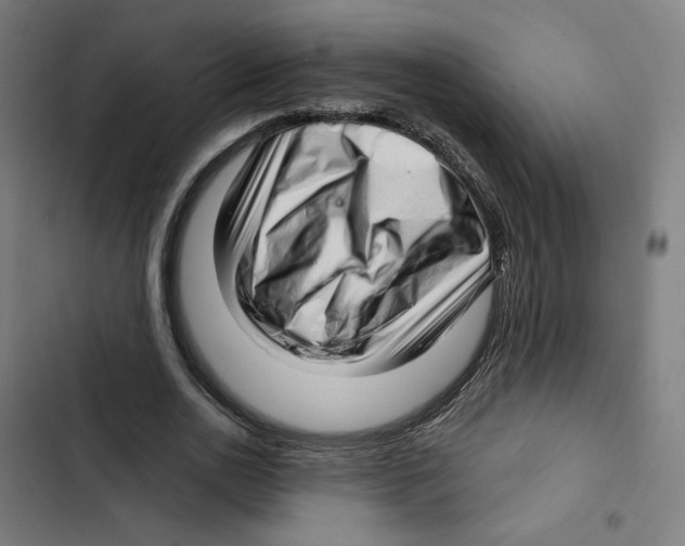 X0000102500726200809051345