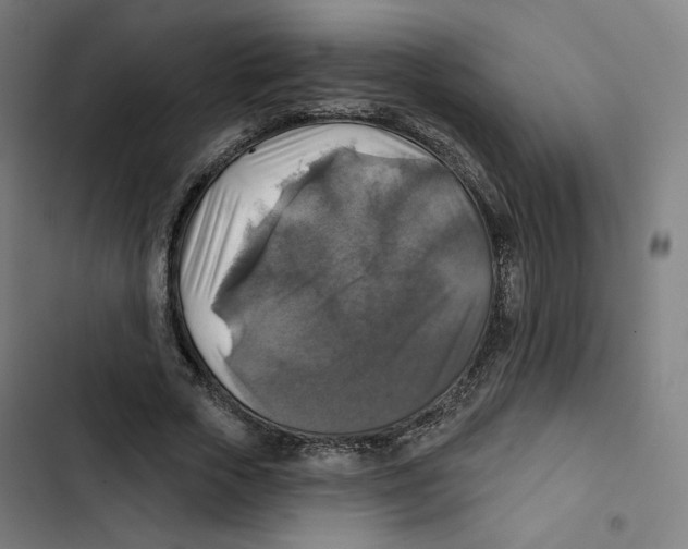 X0000102500729200809051345